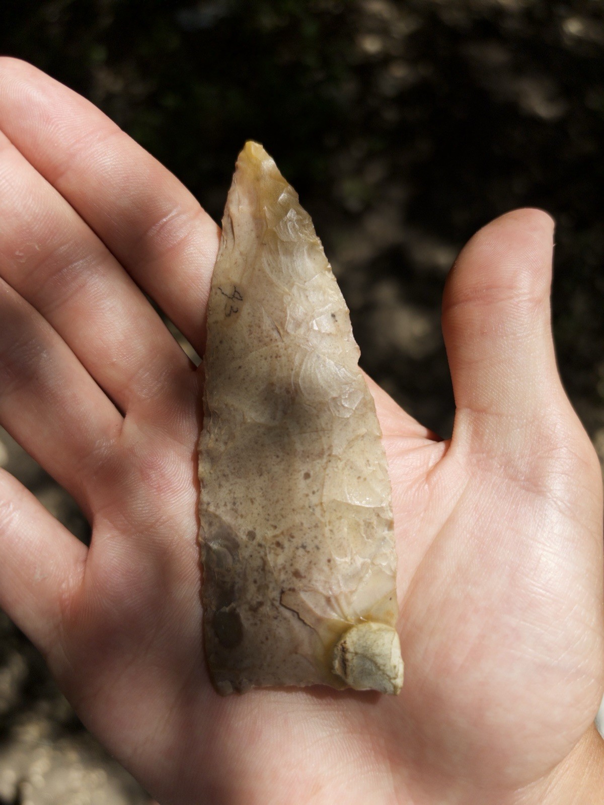 Authentic Large Worked Flint/Chert Biface Knife South Texas Indian Artifact