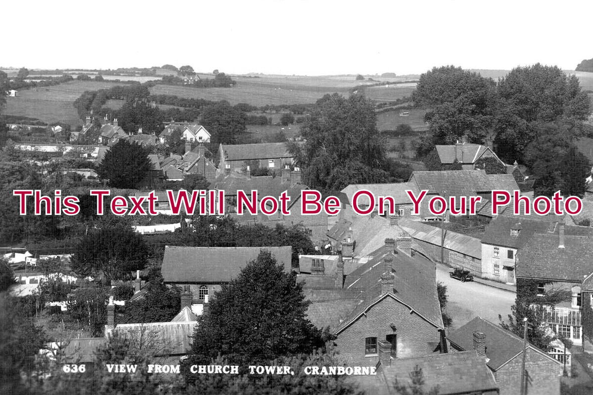 DO 1819 - View From Cranborne Church Tower, Dorset