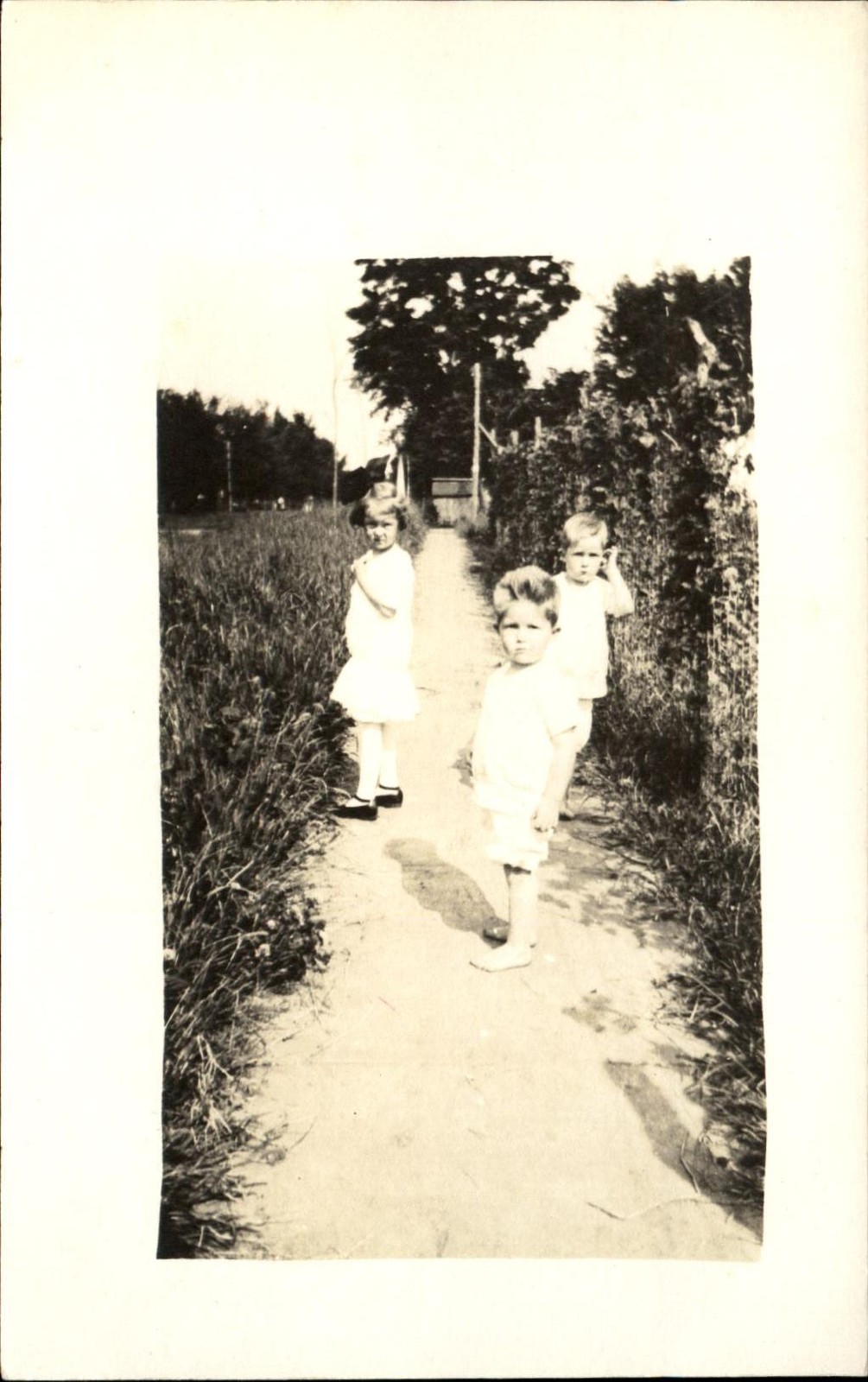 RPPC real photo 1904-1918 ~ little boys and little girl on garden path