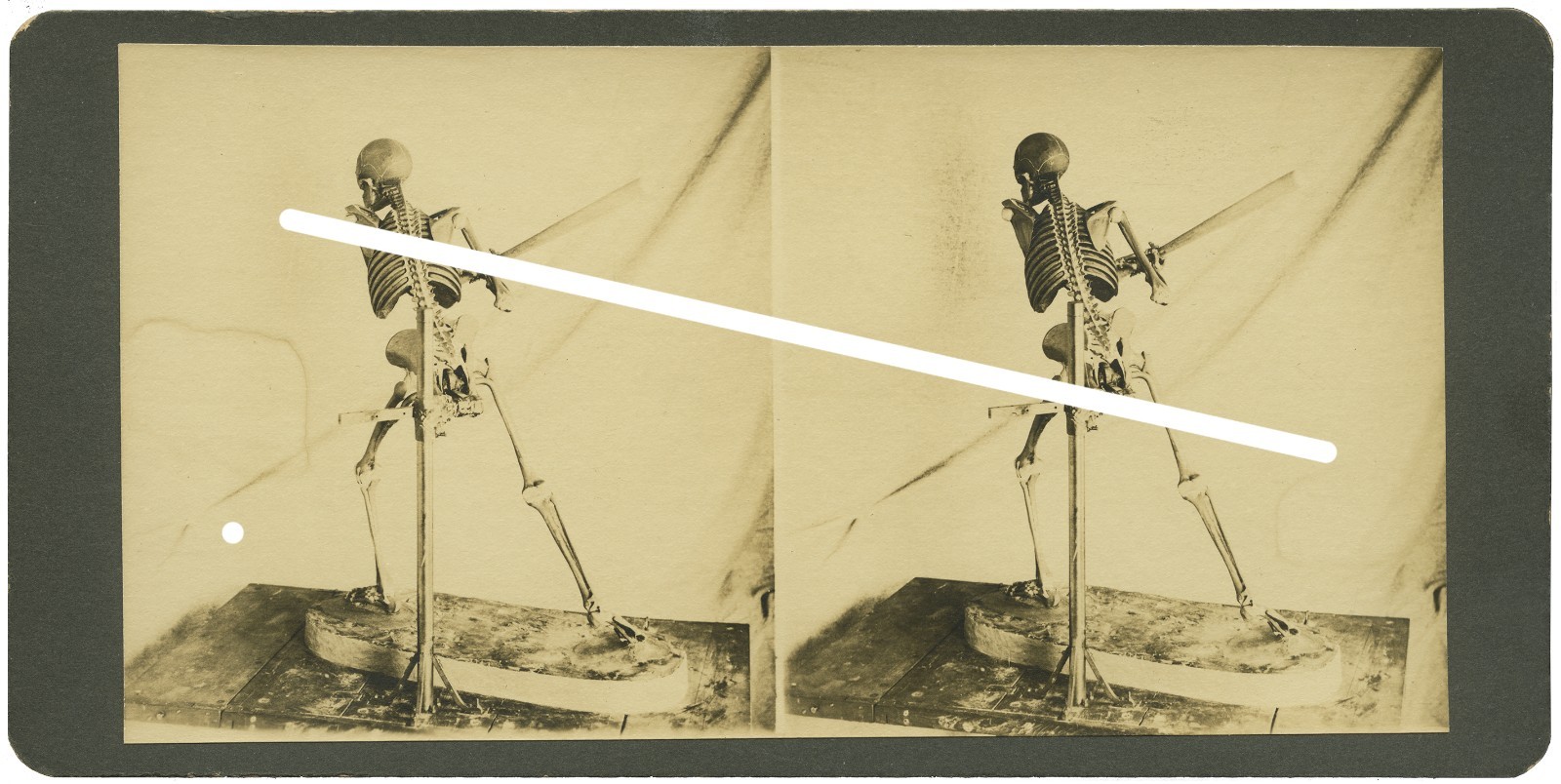 Antique Stereoview Stereoscope Card -Mechanical Skeleton swinging Baseball Bat