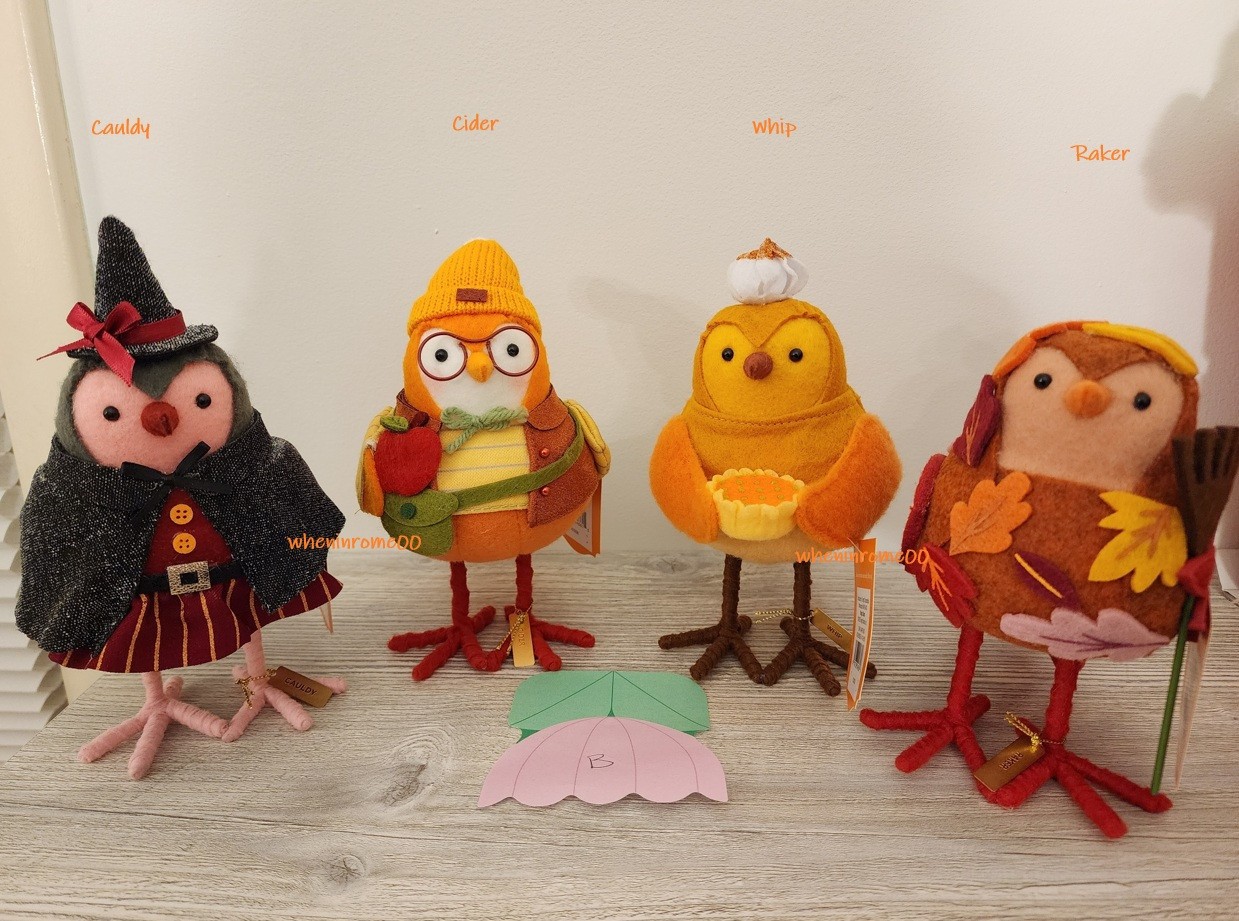 Target Hyde & EEK 2026 Featherly Friends Bird 4 Set Cauldy Cider Raker Whip NEW