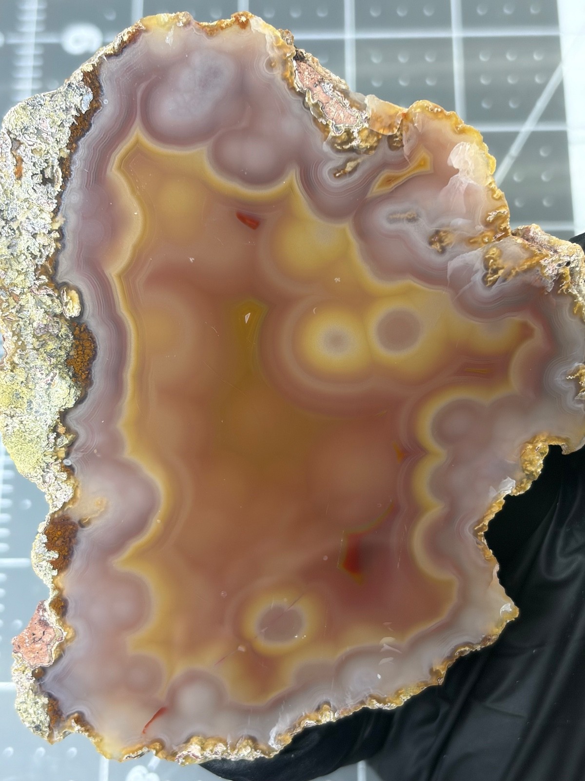 Gorgeous Polished LAGUNA AGATE Colorful Banding Fortification