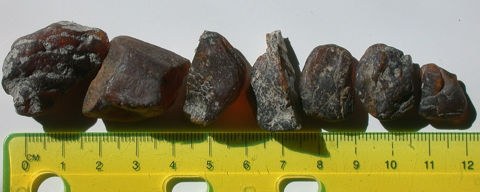 Group of 7 Rough Burmese Burmite Amber Fossil Stones from Dinosaur Age 18 g