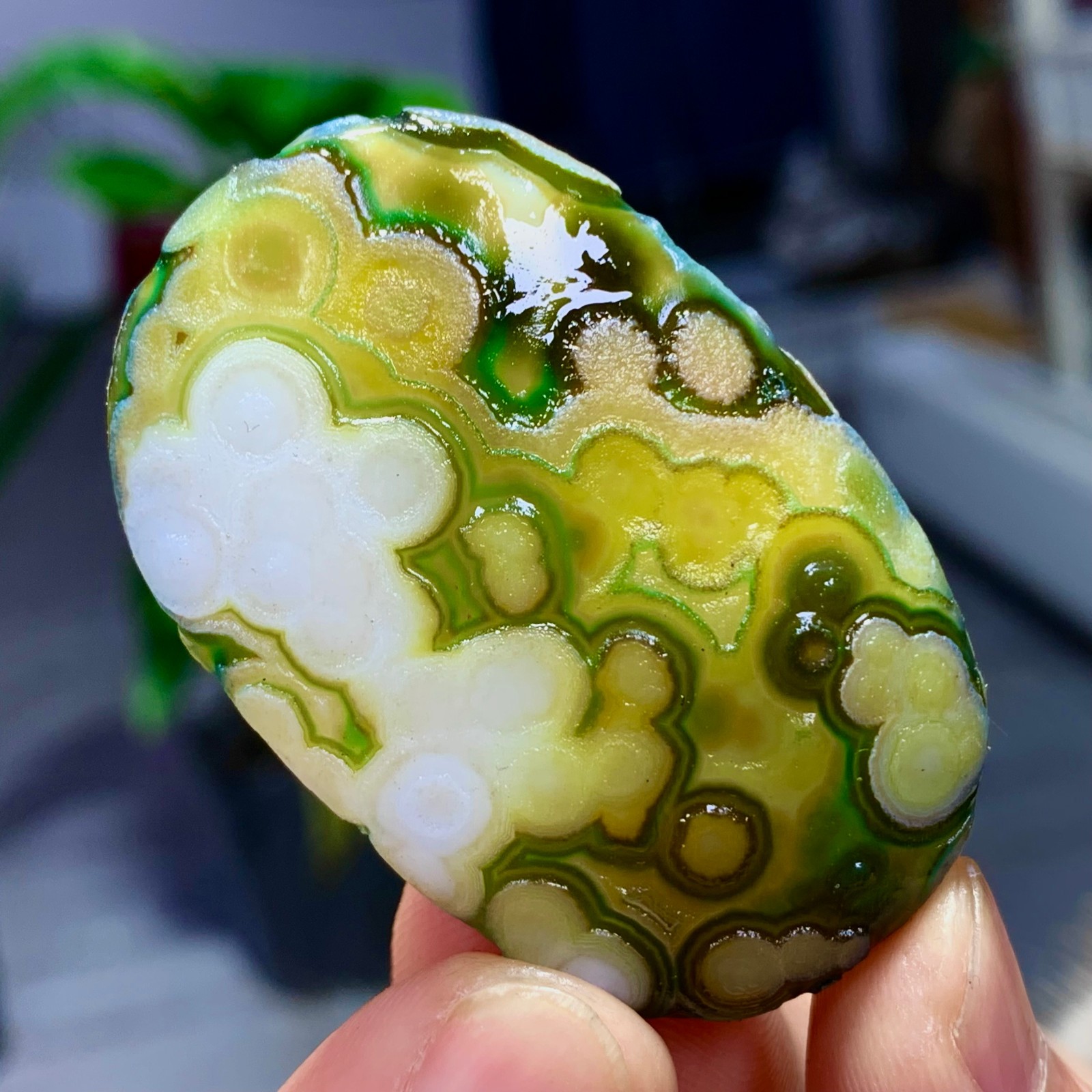 23G Rare Natural Gobi Agate Eye Agate/Crystal PalmStone