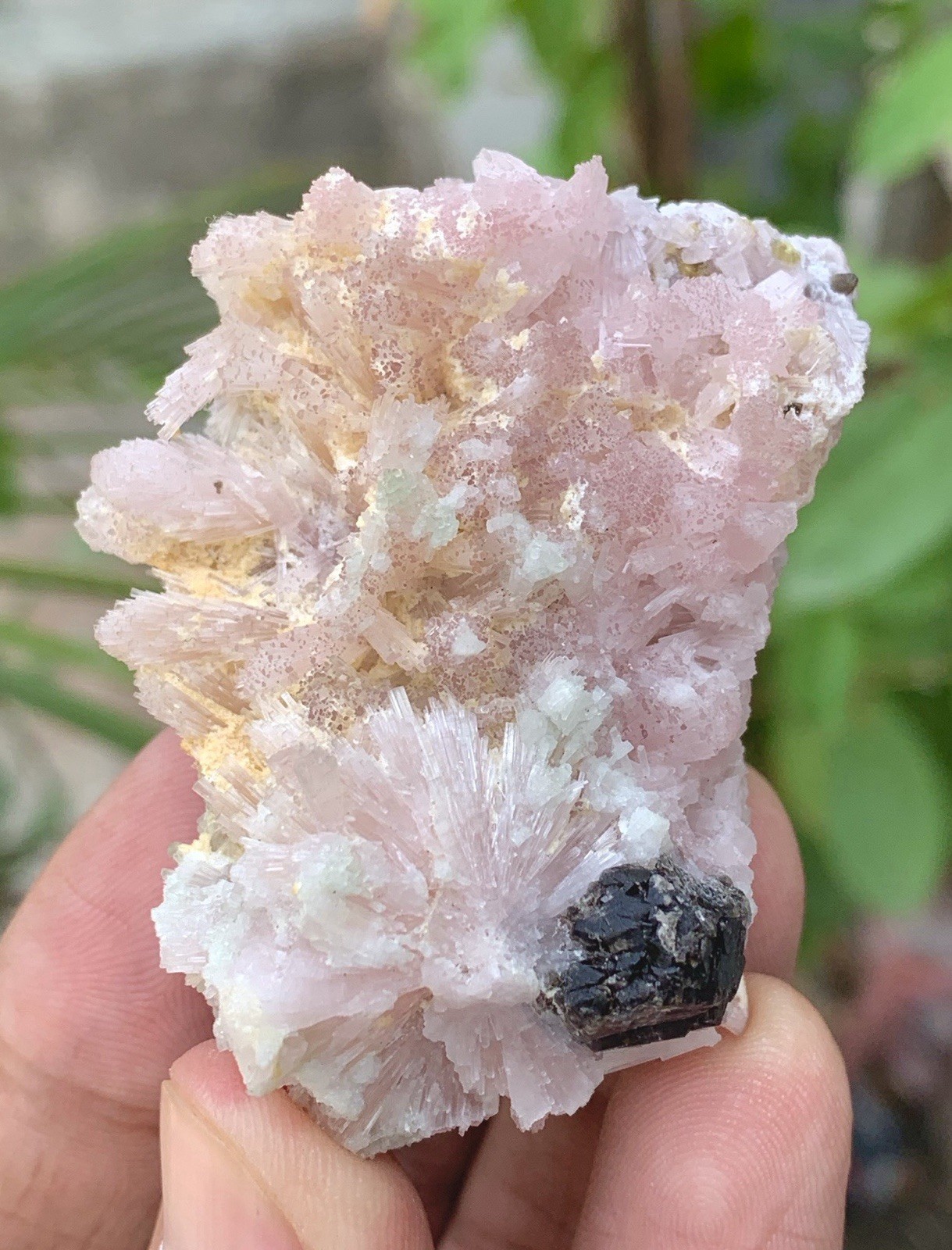 62 Gm Pink Tourmaline Crystal Cluster, Tourmaline Specimen From Afghanistan