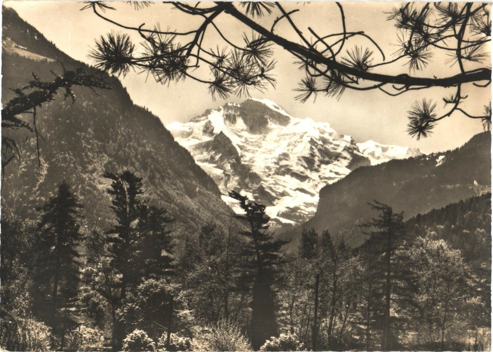 Interlaken Switzerland Jungfrau Mountain RPPC Real Photo Postcard c1960 Unused