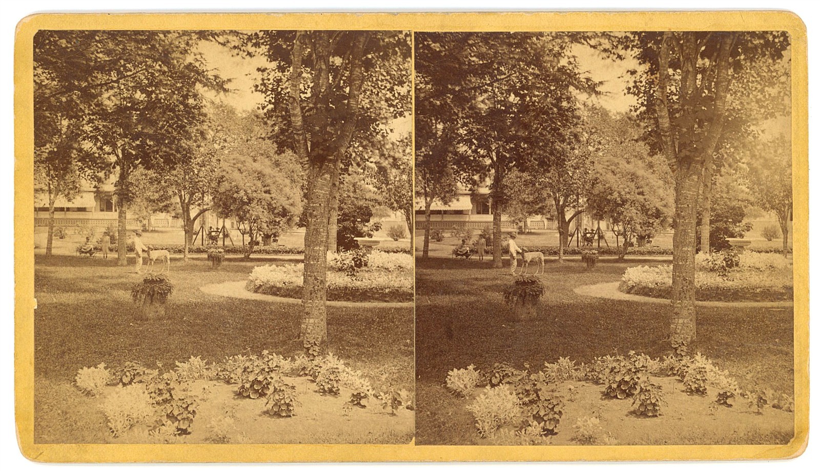 CONNECTICUT STEREOVIEW - New Haven Street Scene - Pardee & Isbell 1870s RARE