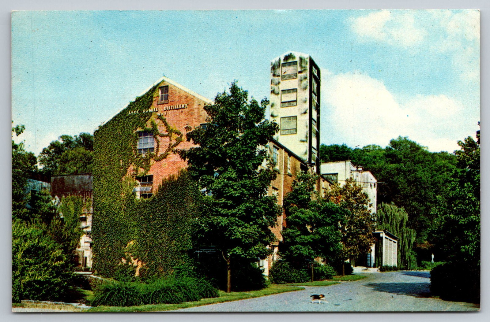F 175,  Jack Daniels Hollow, Distillery , Lynchburg, Tenn.