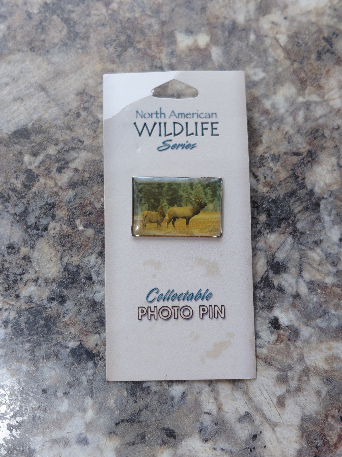 North American Wildlife Elk and Calf Series Collectible Vintage Photo Pin