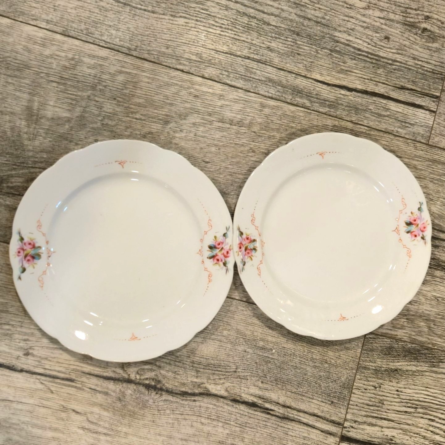 Antique Carl Tielsch C.T Porcelain Plate set Rose Germany Scalloped edges 1800s