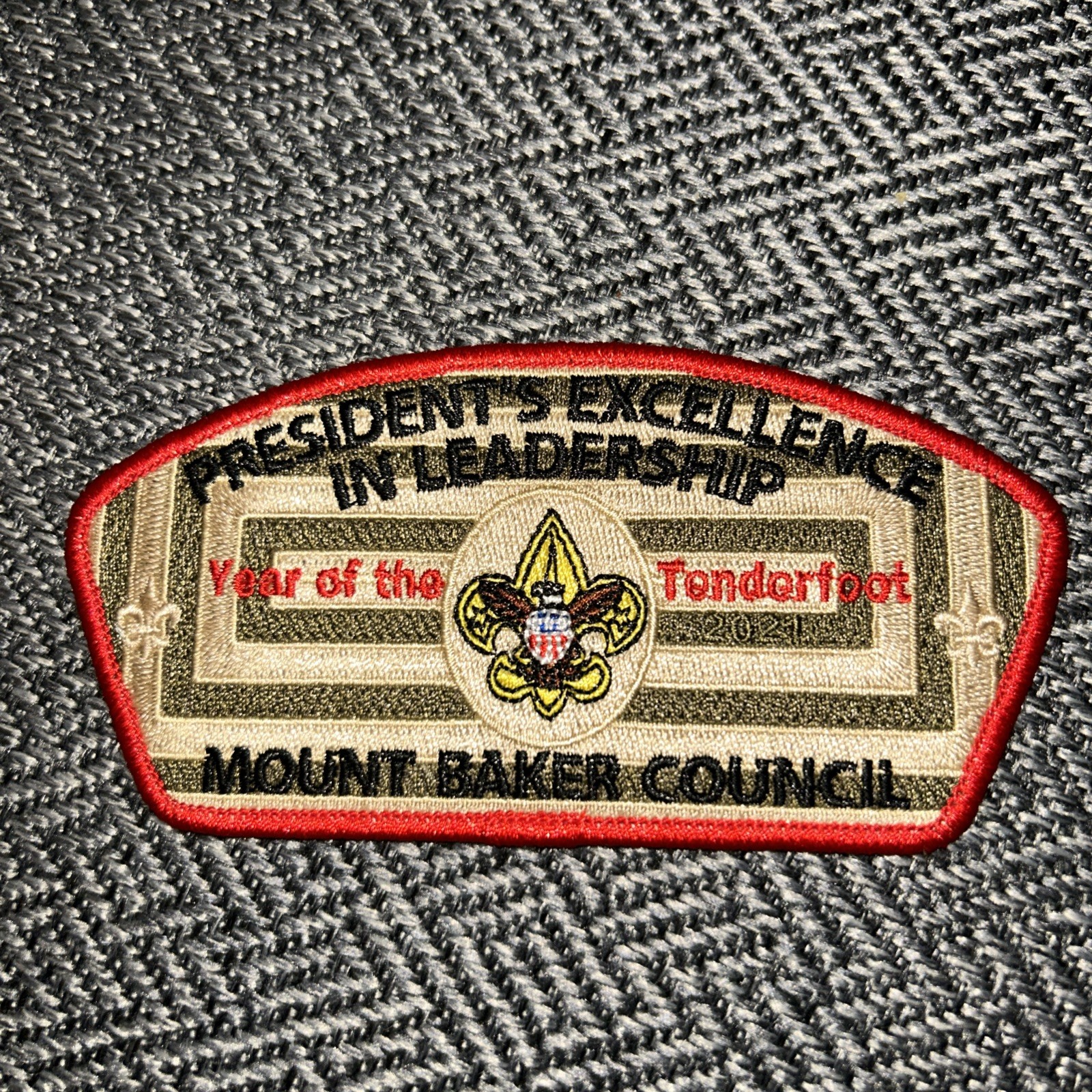 MINT CSP Mount Baker Council Washington SA-? 2021 Year Of The Tenderfoot 75 Made