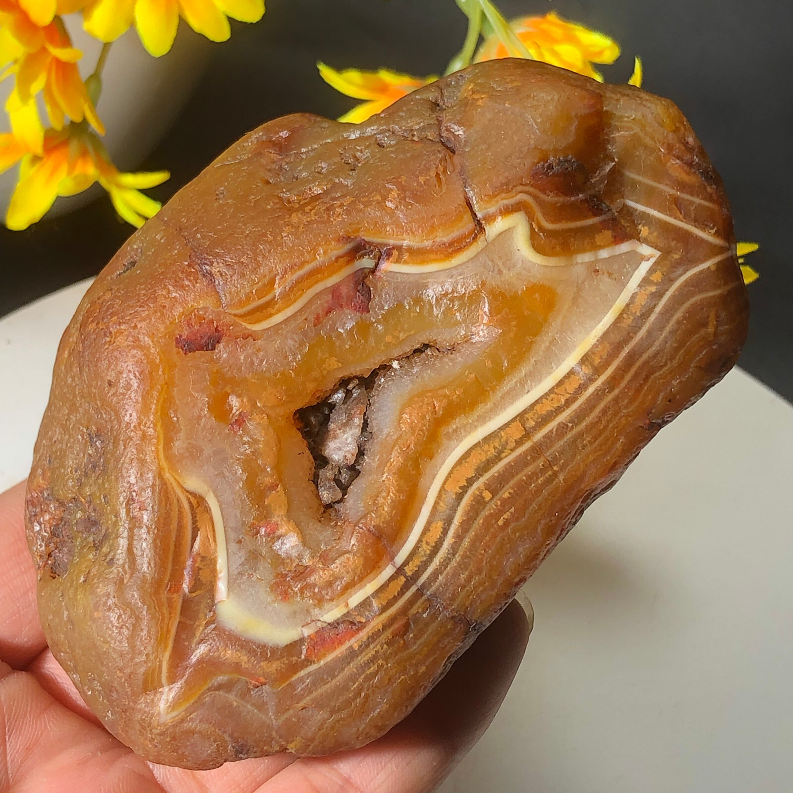 332g Bonsai Suiseki-Natural Gobi Agate Eyes Stone-Rare Stunning Viewing-C5