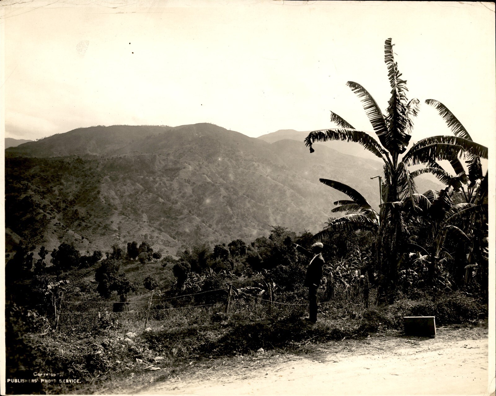 GA201 Original Photo BEAUTIFUL AUTO ROAD IN JAMAICA MOUNTAINOUS TERRAIN