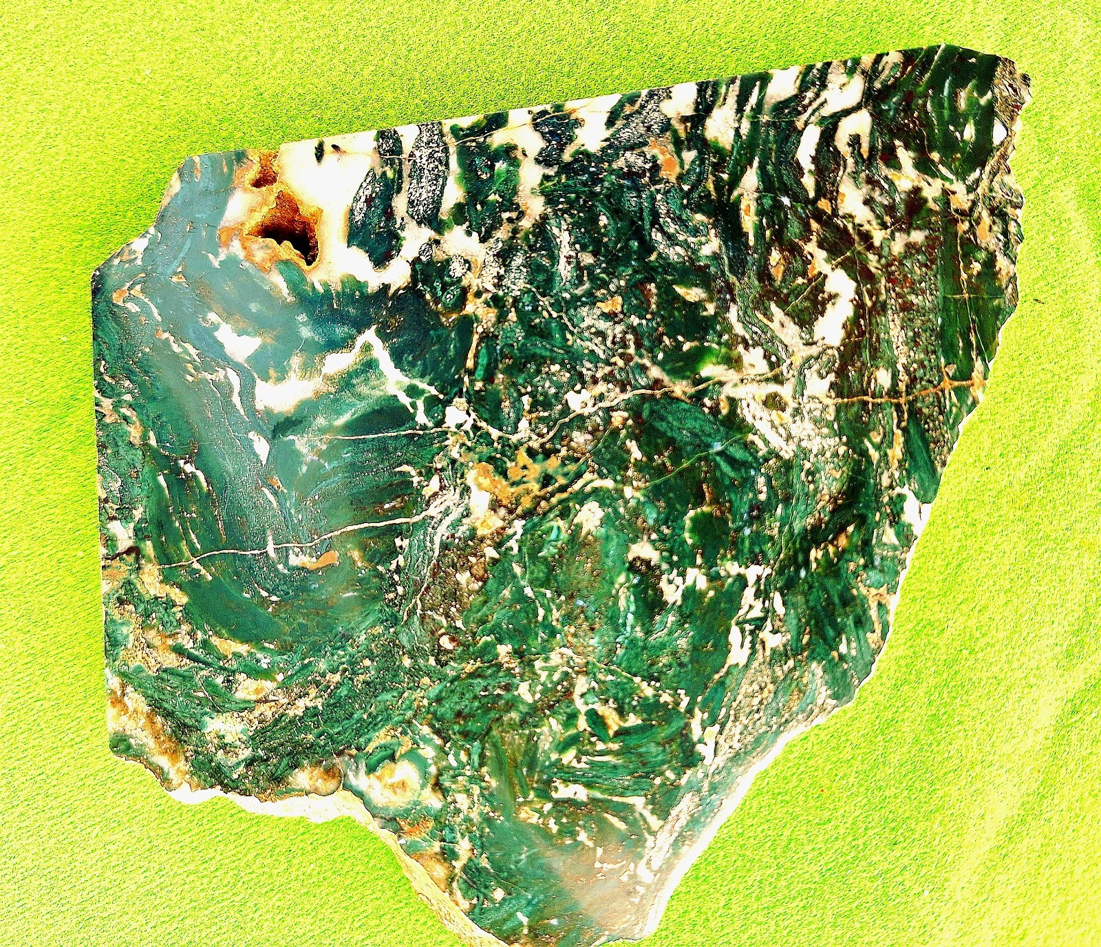 Polished Green Petrified  Slab of Jasperized Wood Hampton Butte, Or~ ~11 Ounces~