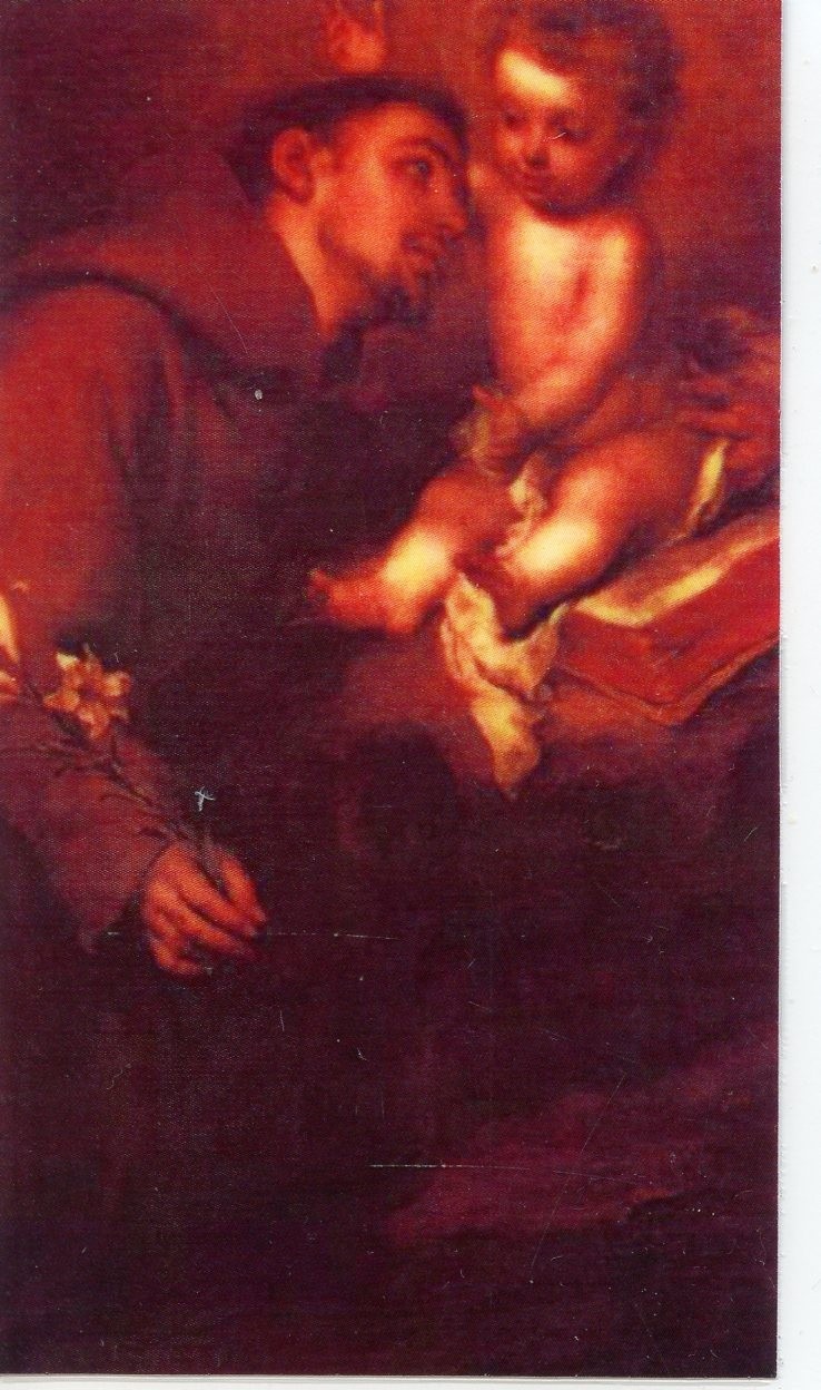 Unfailing Prayer to St. Anthony A- Laminated Holy Cards 25 CARDS
