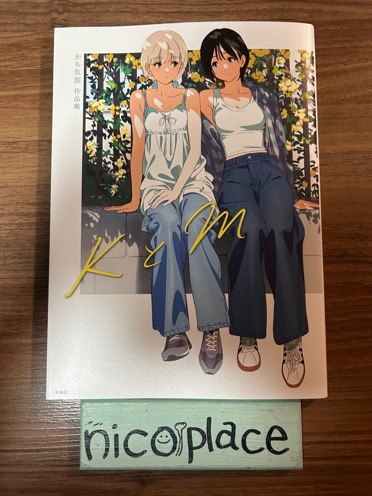 K & M: Kamo Kamen’s First Yuri Art Collection Book U.S Tax Included Japan