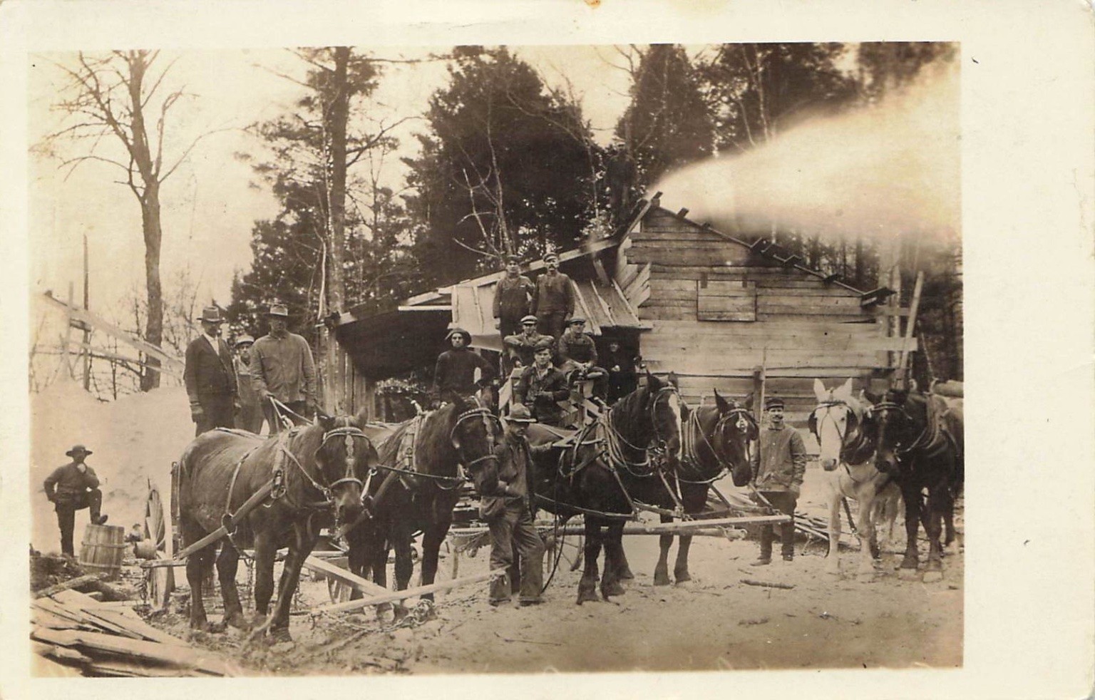 1911 RPPC Maine Logging Camp Horses Men W.C. Cunningham Photographer