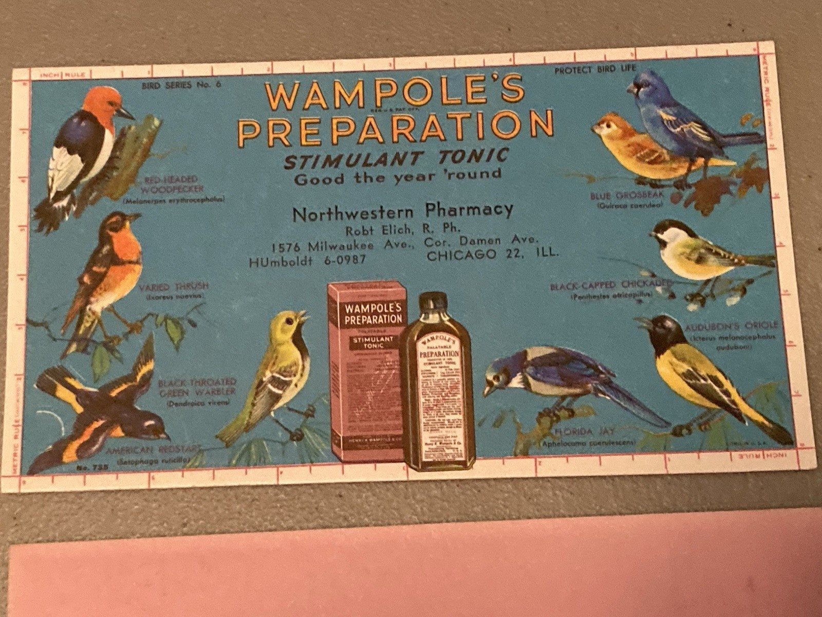 Vintage Wampole\'s Preparation Bird  Advertising Blotter Chicago IL 