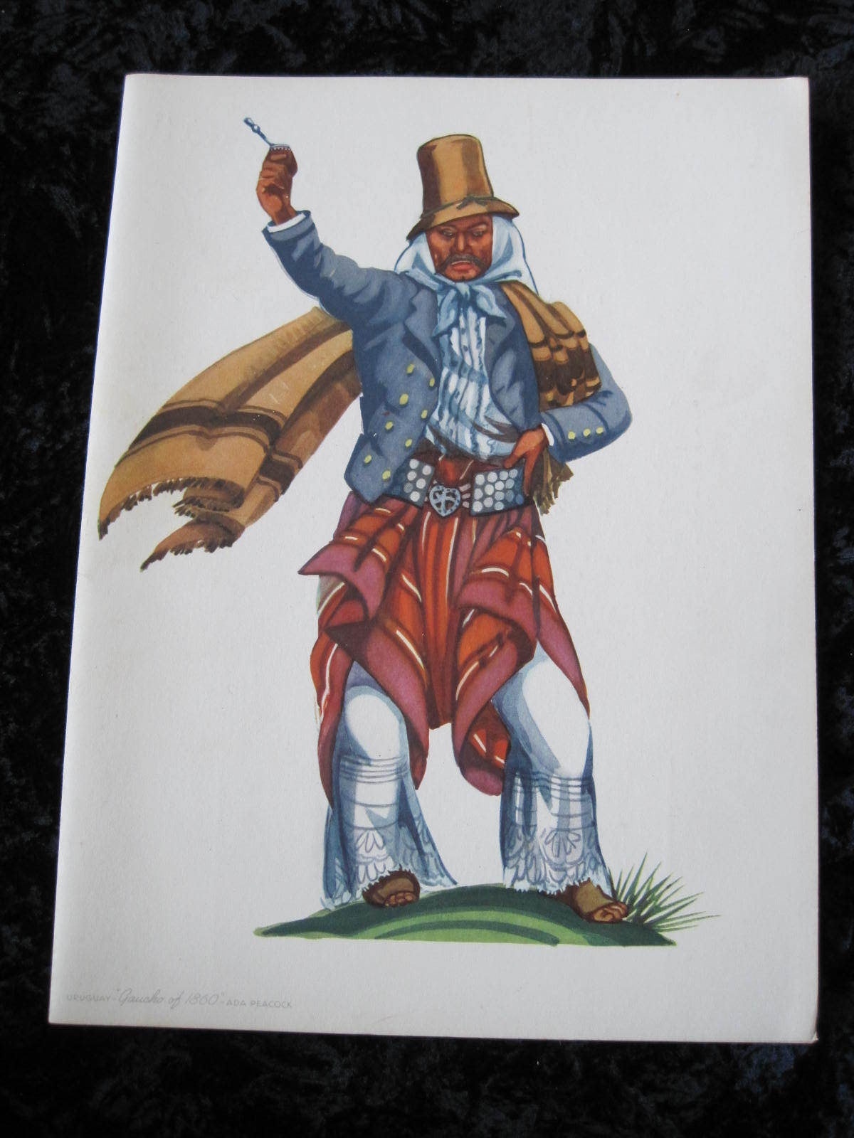 Menu Moore McCormick Lines Ada Peacock Artist SS Brazil Guacho Uruguay