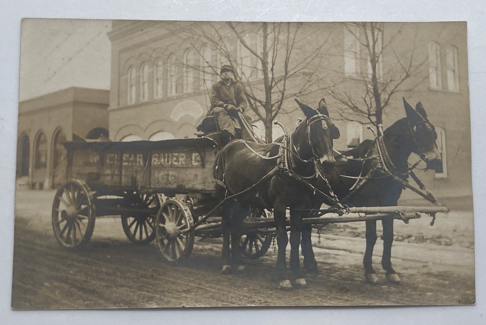 C. 1910 Lansing MI Delivery Horse Wagon CLEAR BAUER CO. Real Photo Postcard RPPC