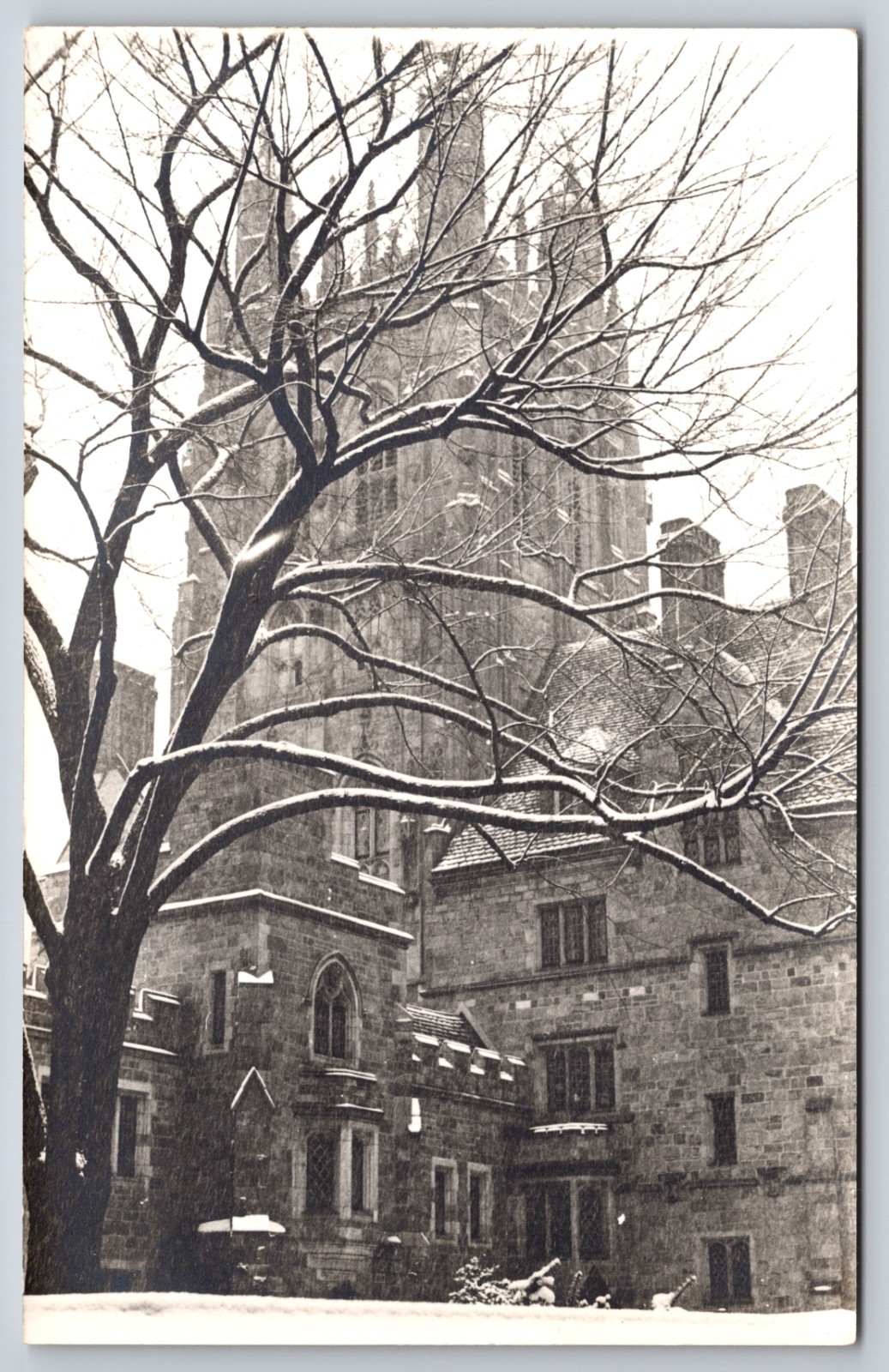 Collegiate Gothic Stone Tower Building Winter Snow Tree Branches View US RPPC