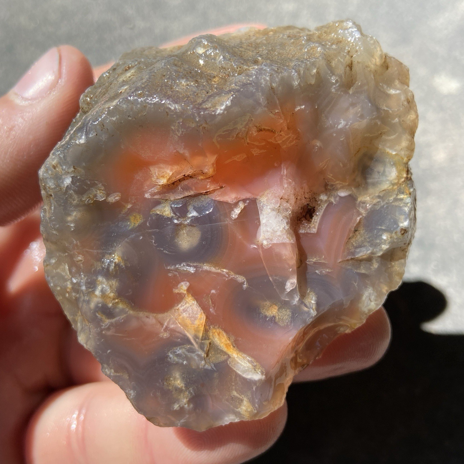 Large Swazi Mozambique Agate Beautiful “Eyes” Lapidary Rough 7.95 Oz