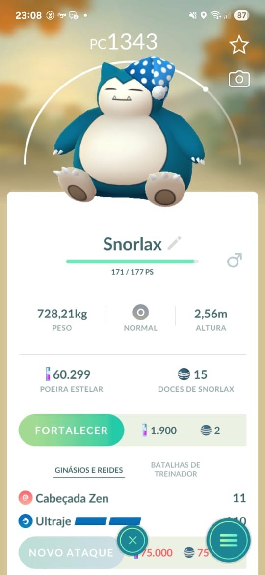 Snorlax sleeping Hat - Snorlax Costume – Snorlax Pokémon GO – Snorlax nightcap