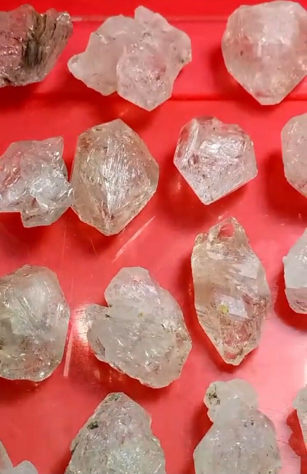 880-gm Window Fenster Quartz Crystals from Balochistan, Pakistan (100+ PCs)