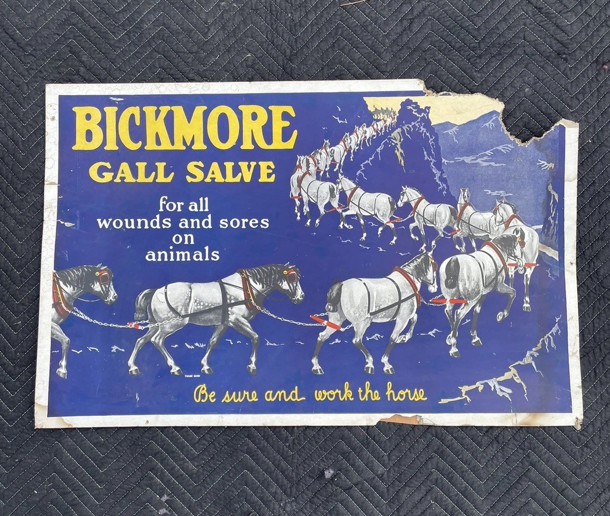 Bickmore Gall Salve Dealer Store Poster Vintage 34” x 22”