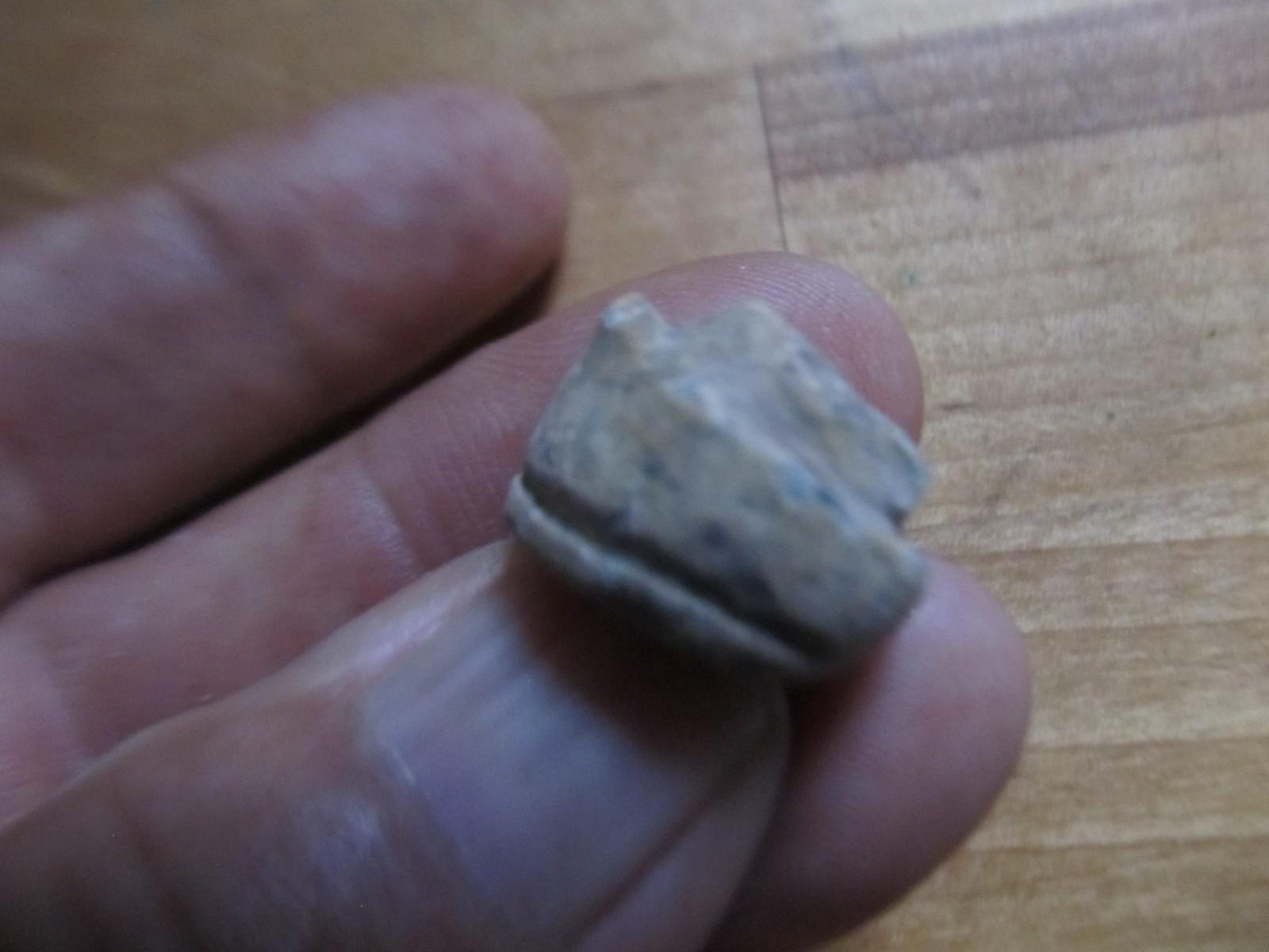 Scarce Civil War CSA Enfield Musket STAR Nipple Protector, Fredericksburg Battle