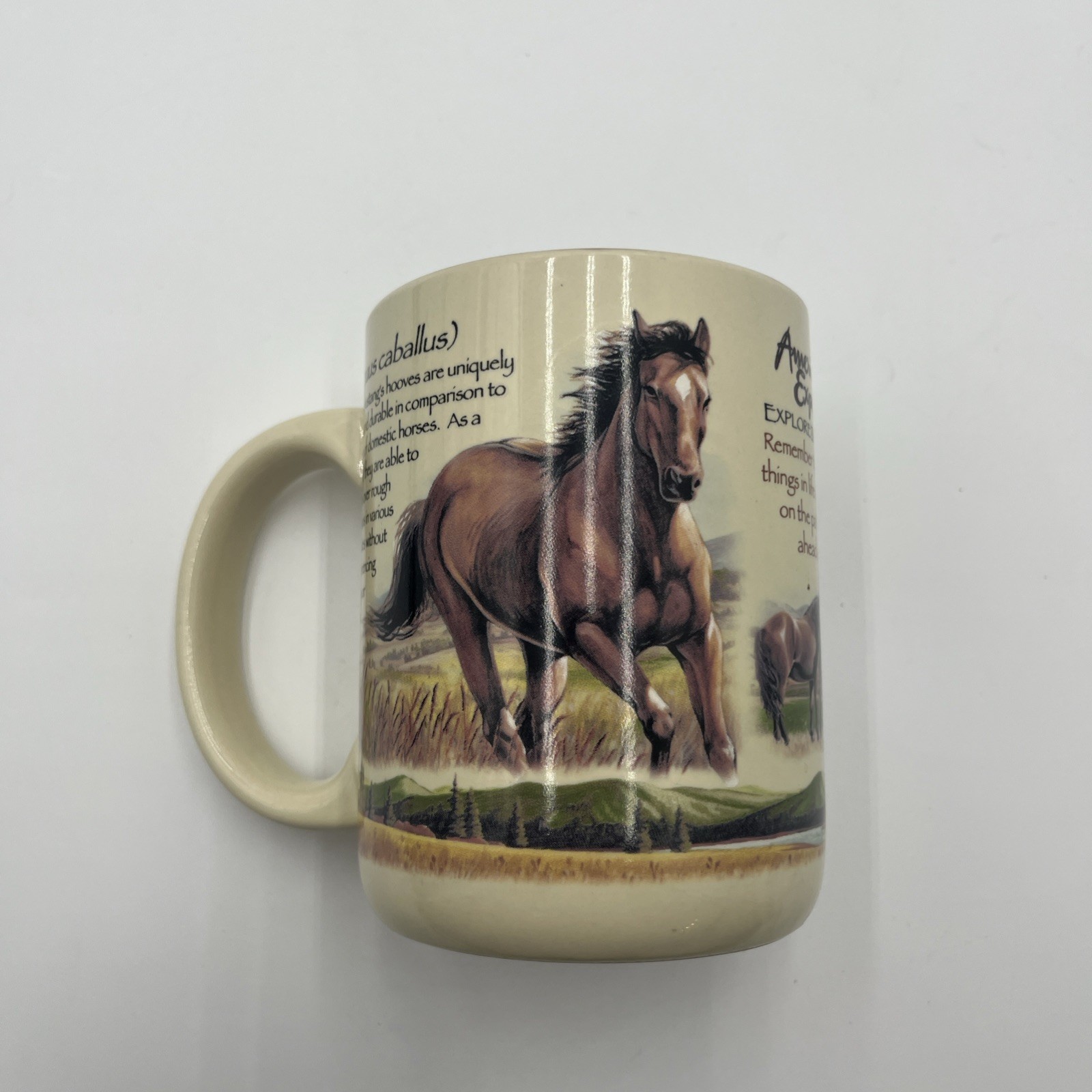 American Expedition Mustang Horse 16oz Coffee Mug / America’s Wildlife