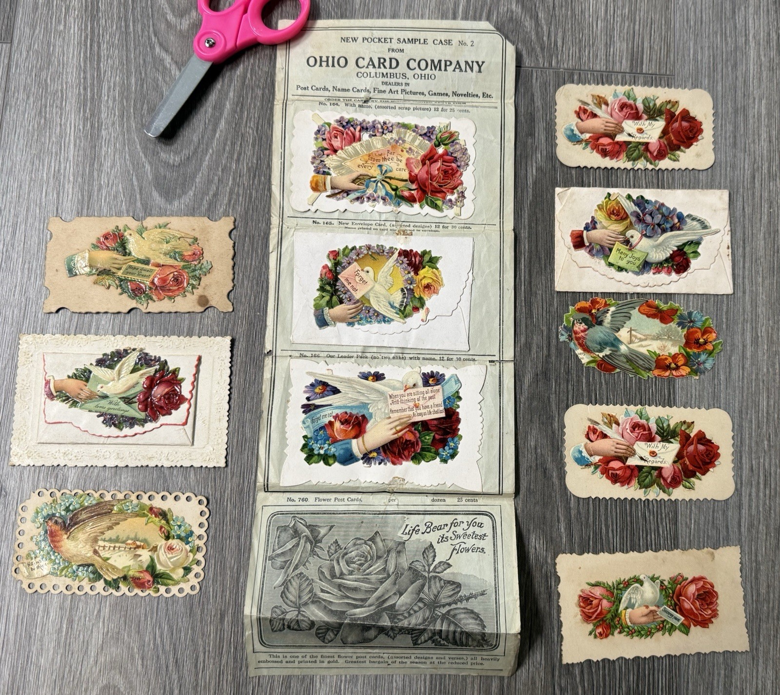 Antique Victorian Salesman Sample Folder Ohio Card Co Columbus Hidden Names Lot