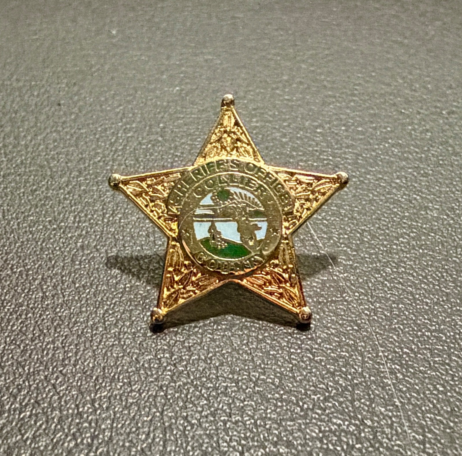 Vintage Collier County Sheriff\'s Office Florida Lapel Pin Sheriff Star