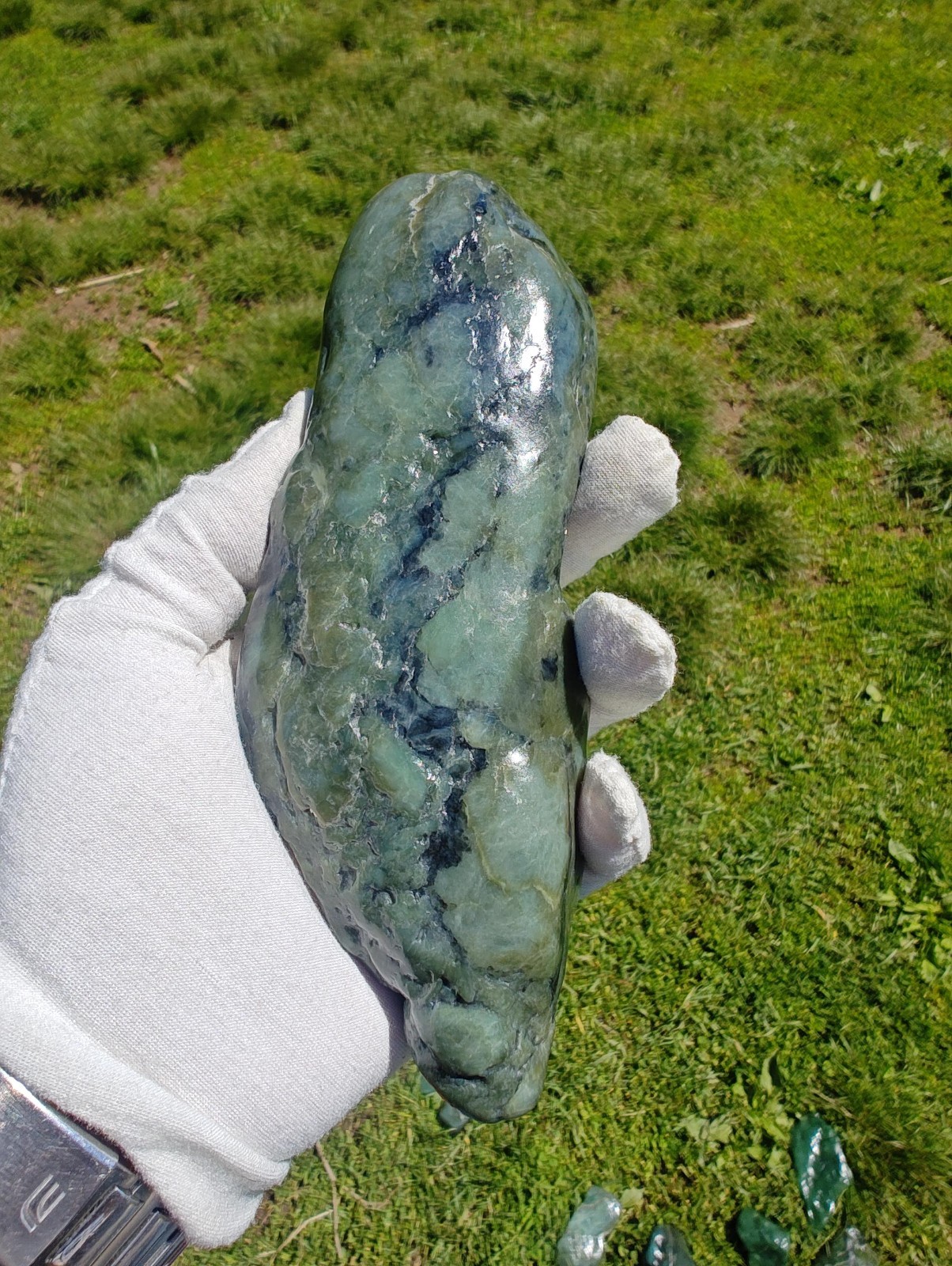 Rare Authentic Big Sur Jade Tumbled Palm Stone