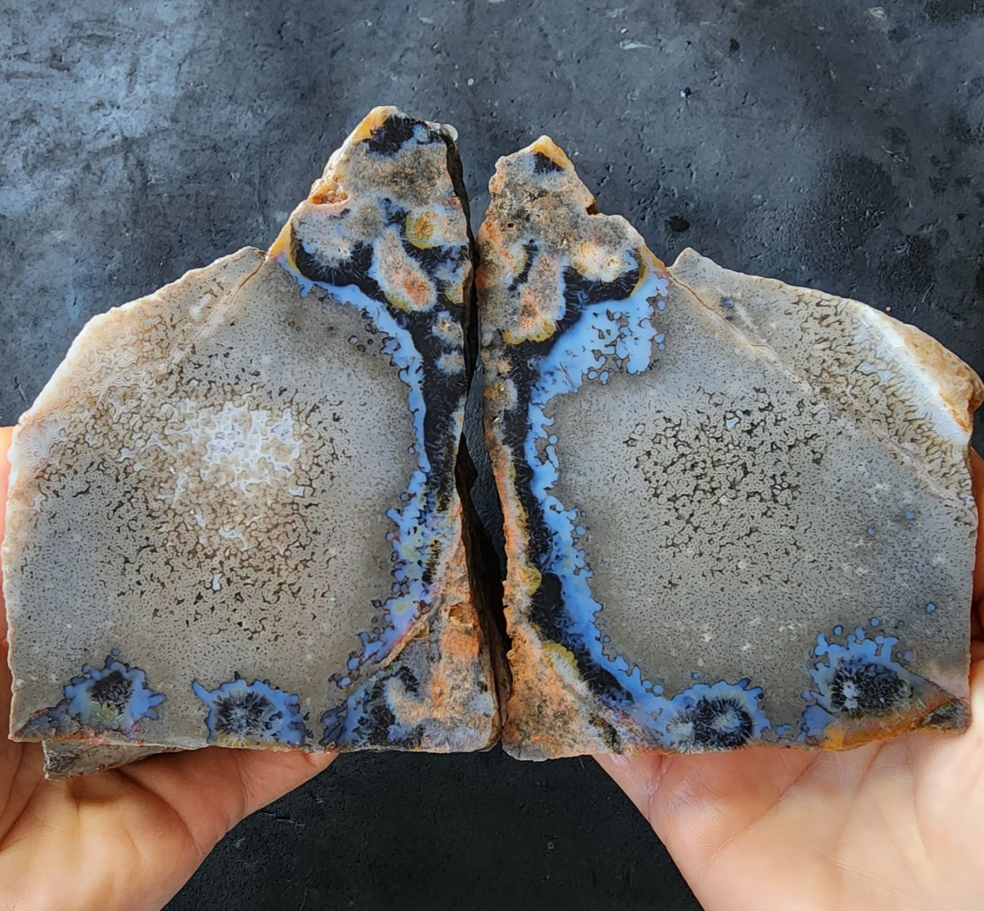 2.4 lbs (1.11 kg) Tube Agate Pair, Blue Agate Pair, Agate Specimen, アゲート・ペア