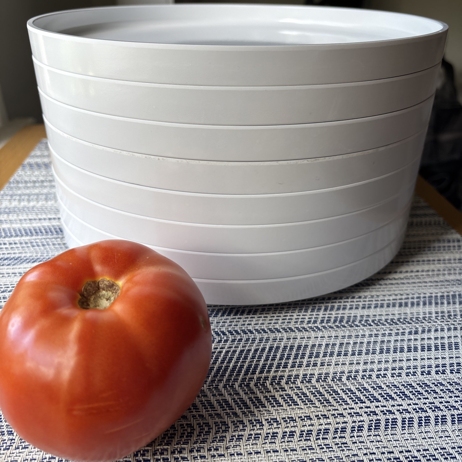1970s Hellerware (Set of 6) MaxPlate Dinner 9.75
