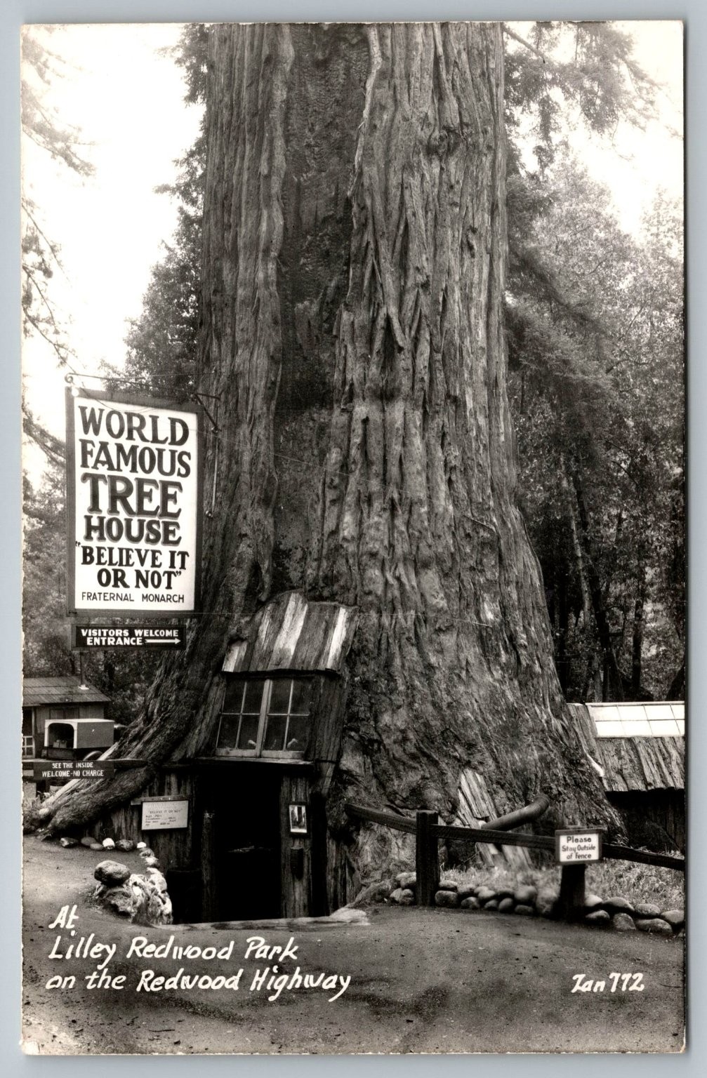 RPPC Lilley Redwood Park World Famous Tree House Redwood Highway Vintage RPPC Lilley Redwood Park World Famous Tree House Redwood Highway Vintage