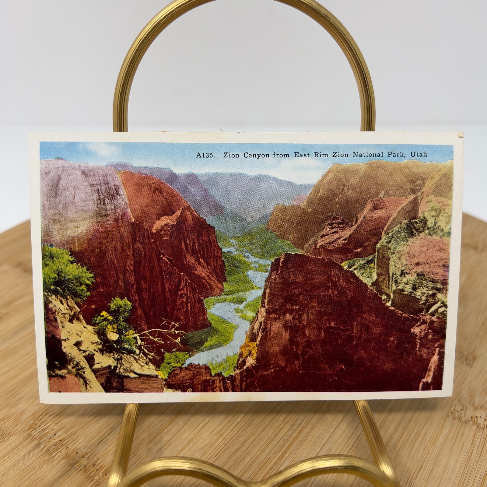 Zion Canyon from East Rim Zion National Park Utah Postcard A135