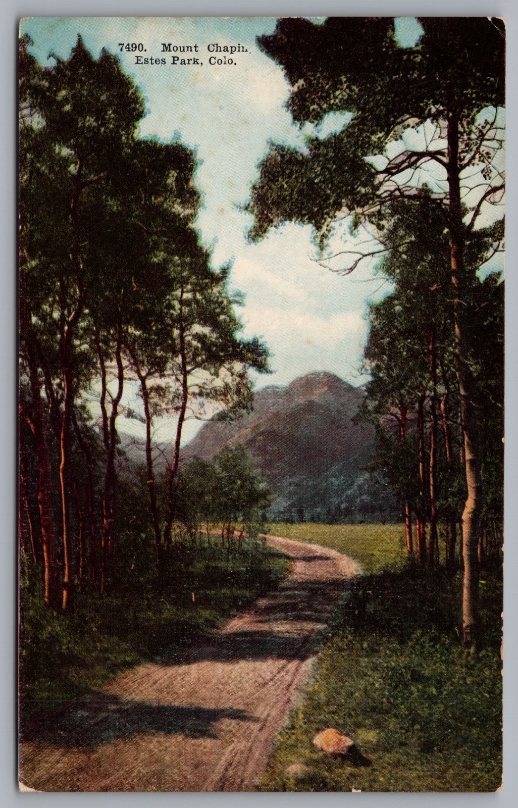 Mount Chapin, Road, Trees in Estes Park, CO. Vintage Postcard