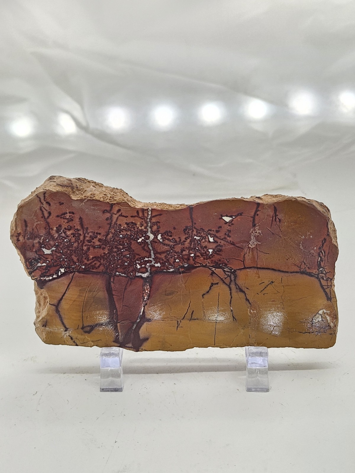 Genuine Australian Mookaite Polished Slice - Earthy Abstract Pattern Stone