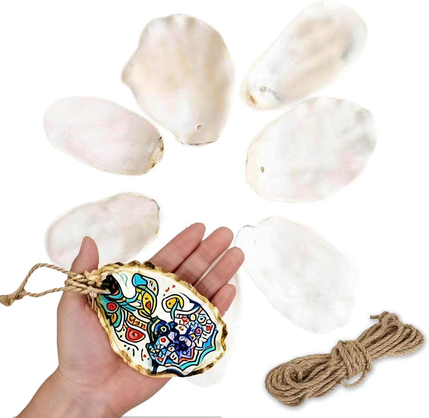 20PCS Large Oyster Shells for Crafts with Drilled Holes 4