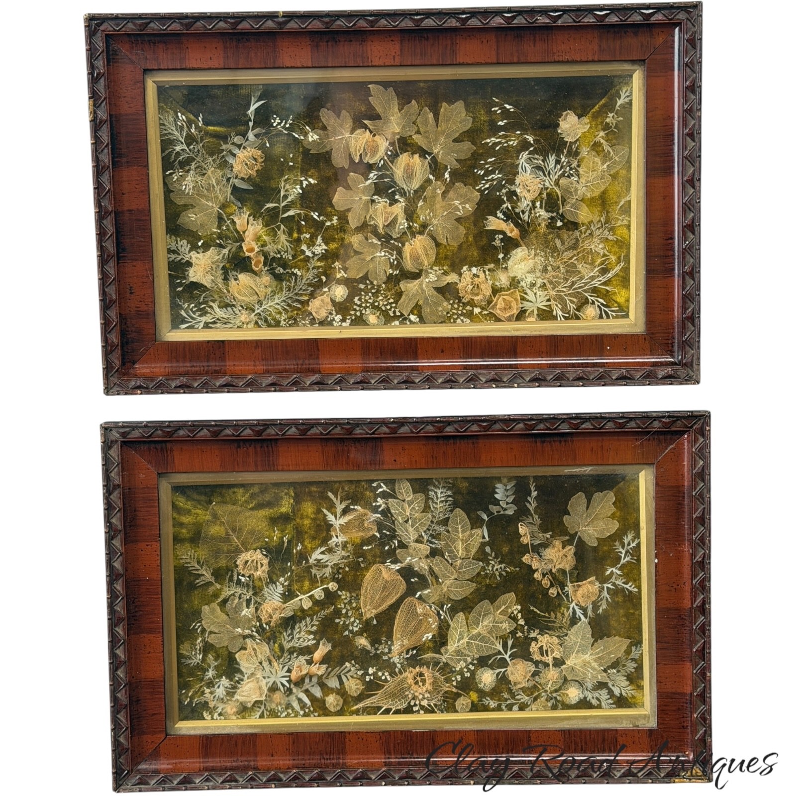 Antique victorian skeleton phantom leaves flowers shadow box frames pair diorama