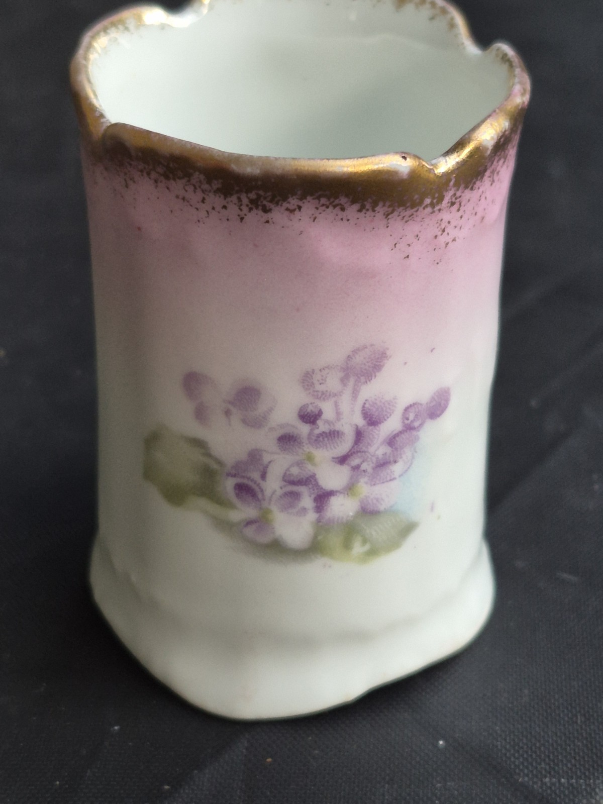 Antique Imperial Austria ToothPick Matchstick Holder Hand Painted Gold Gilt