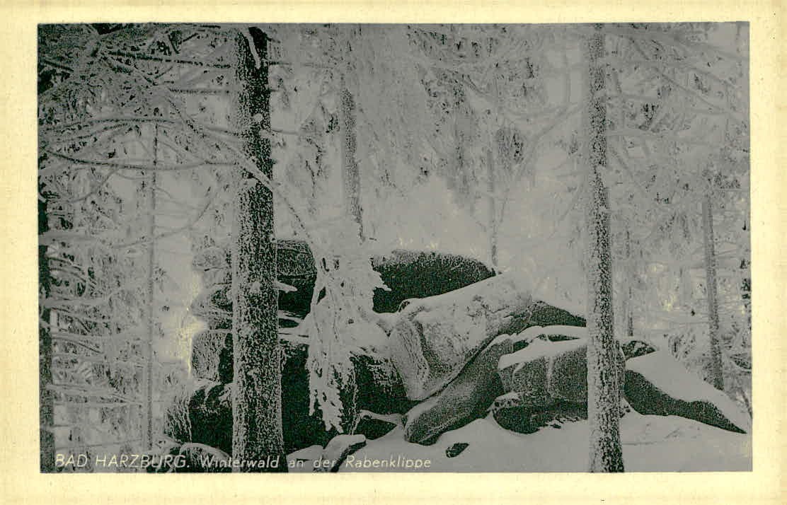 Vintage Postcard Winterwald an der Rabenklippe Bad Harzburg Germany Snow