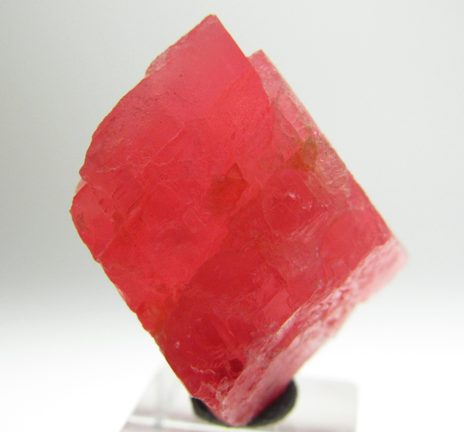AMAZING GEM RHODOCHROSITE CRYSTAL SWEET HOME MINE COLORADO 