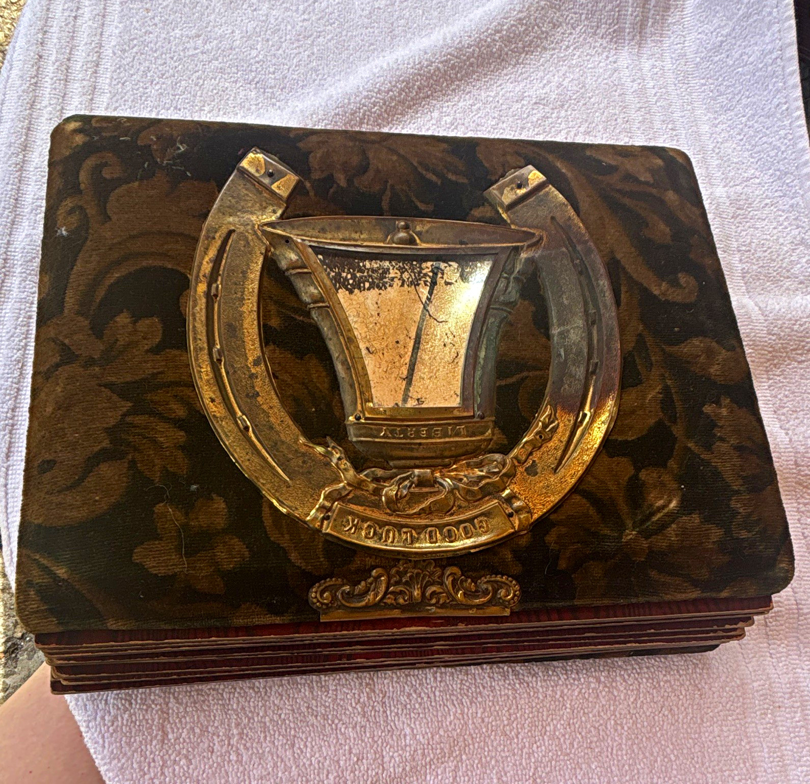 Antique Velvet Photo Album Hungarian Immigrant New Brunswick NJ Gyor CabinetCard