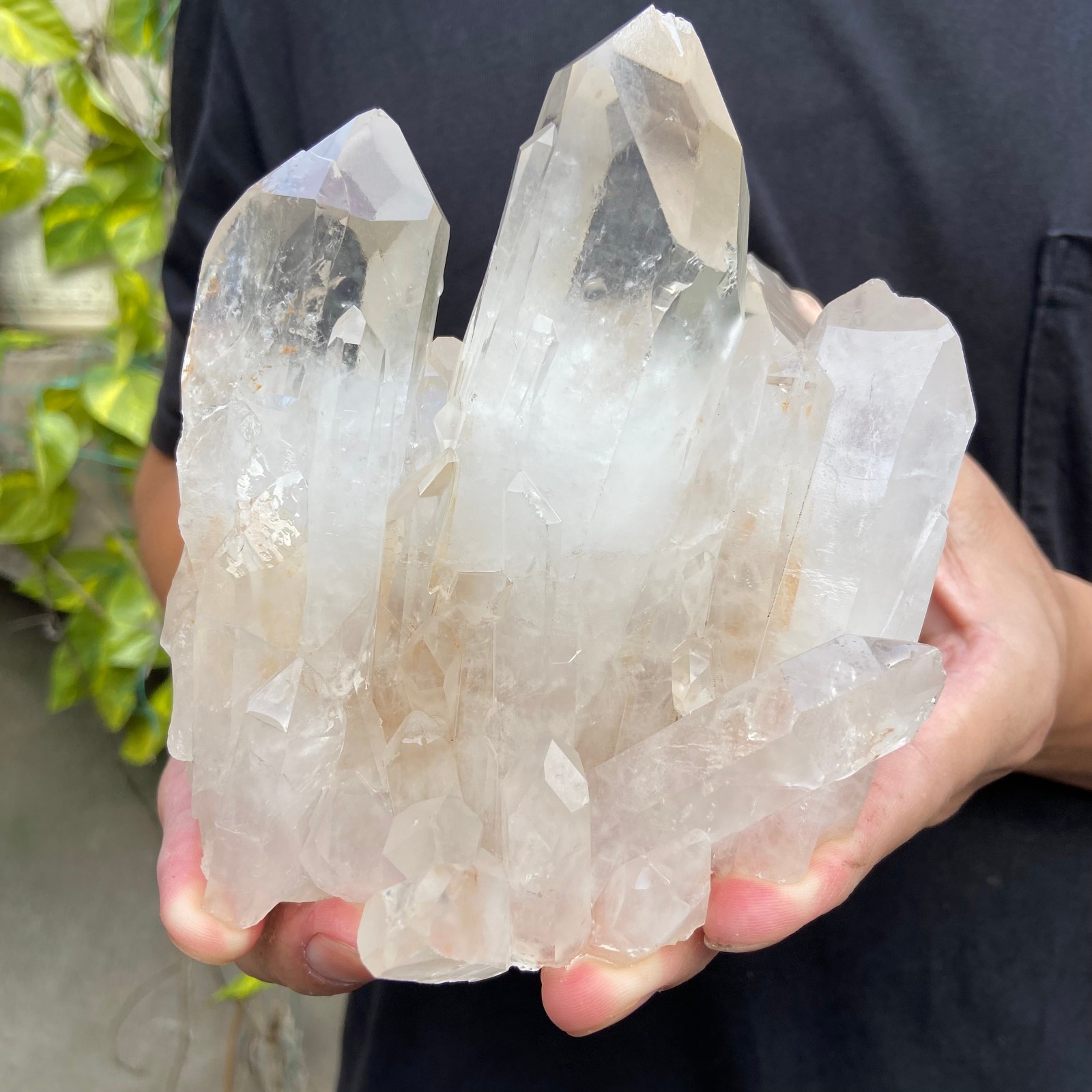 2.6LB  A+Large Natural clear white Crystal Himalayan quartz cluster /mineralsls