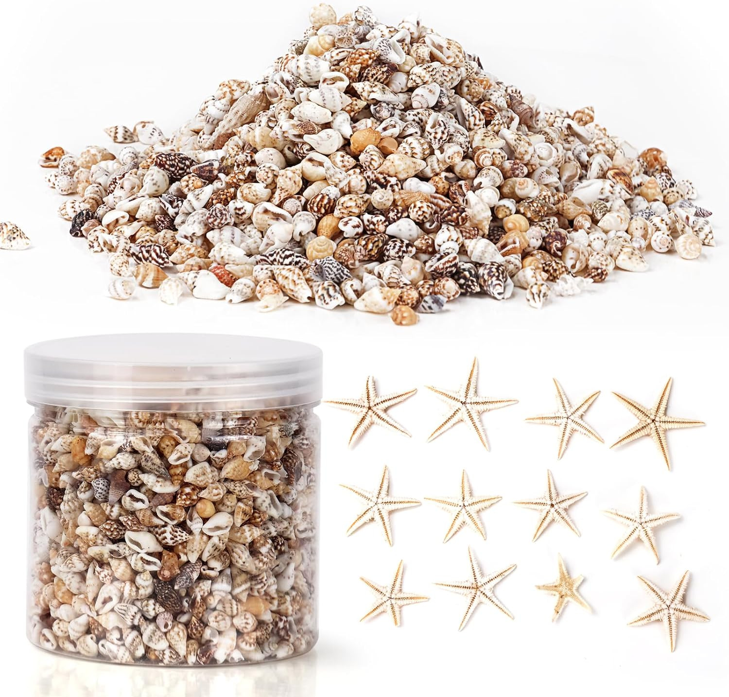 2000 Pcs Tiny Sea Shells & Starfish for Crafting,Mini Seashells Bulk