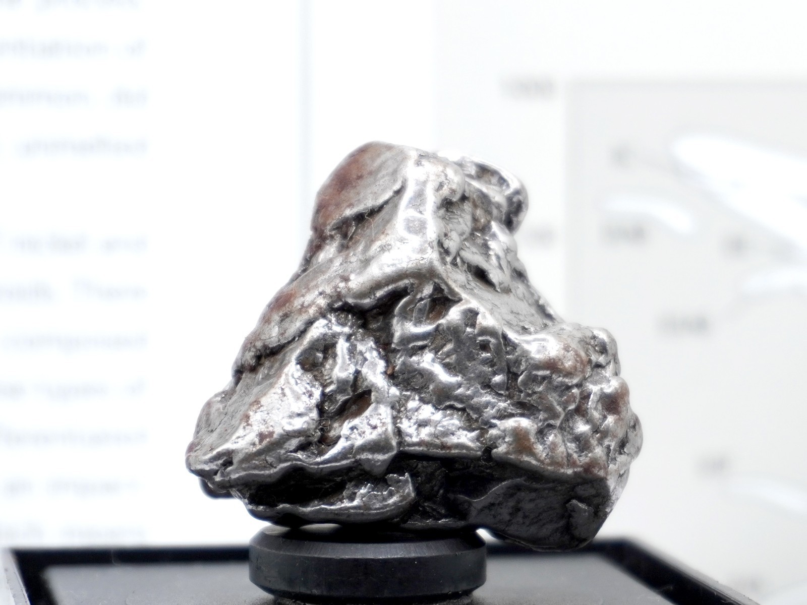 Authentic Campo del Cielo Meteorite | Certified Iron Space Rock from Argentina