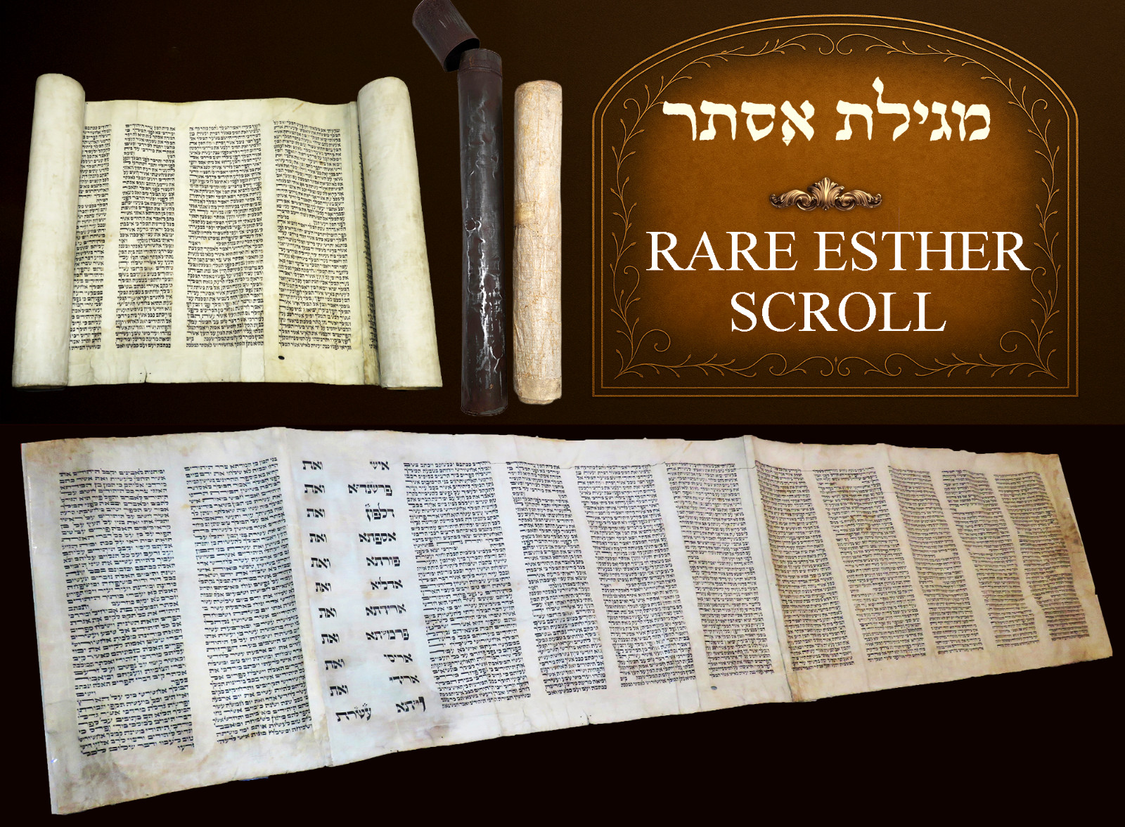Antique European Megillat Esther Scroll Ashkenazi Script - 19th Century Judaica